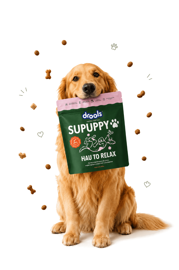 Pawnourish B2B Mobile Hero Fresh Studio Golden Retriever holding Drools SUPUPPY pack